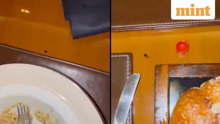 ‘Roachie’ crashes dinner at JW Marriott Mumbai: Cardiologist Dr Ashok Seth says he expects Tukaram Mundhe to act | Today’s news