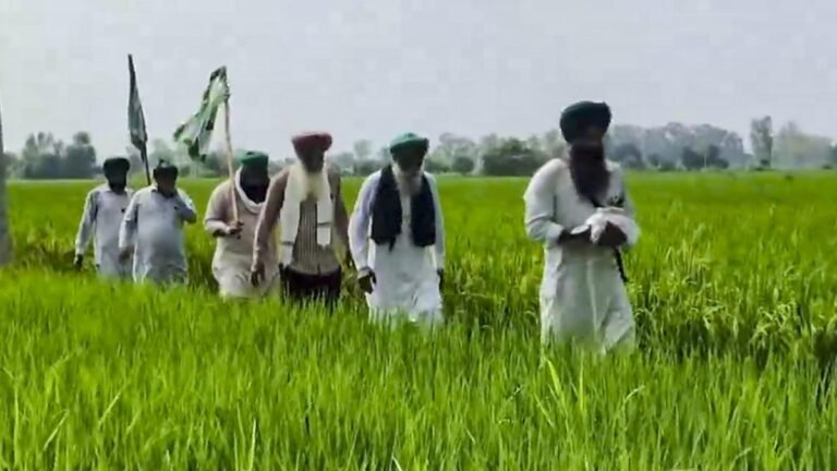 Farmers Union to mobilize a million ‘swayamsevaks’ to fight trade deals