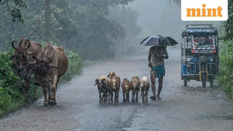 Mint explainer: can new digital portal change the way India insures its livestock? | Today’s news