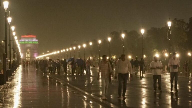 Delhi announces vehicle curbs, work from home, construction ban due to winter pollution