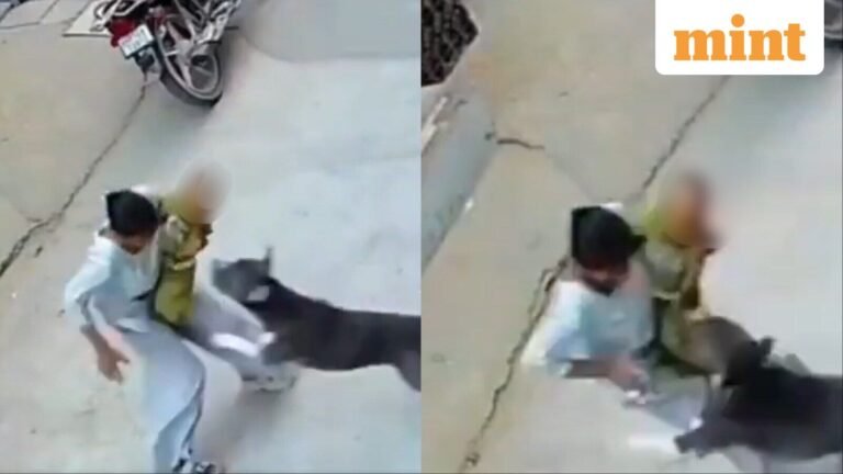 Pitbull mauls 6-month-old baby during walk in Haryana’s Sonipat; critical child, CCTV captured the attack | Today’s news