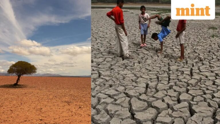 El Niño could kill 15,800 people in next 6 months in India, says survey: What is it? How does this affect temperatures? | Today’s news
