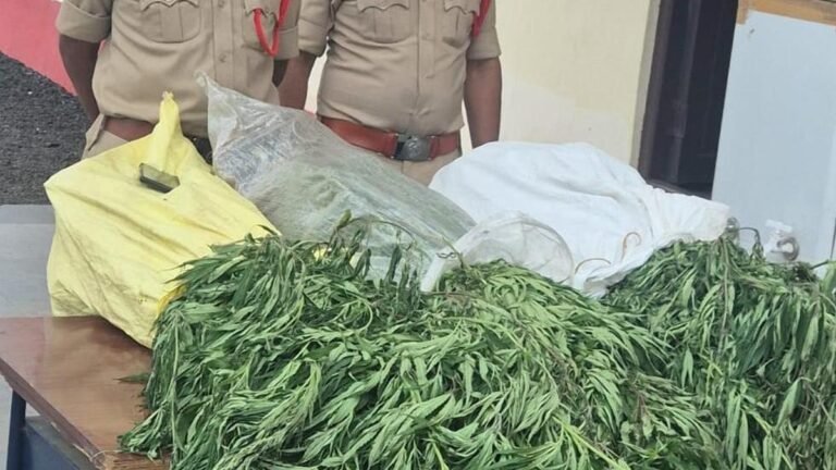 One held for growing cannabis on ‘FRA land’