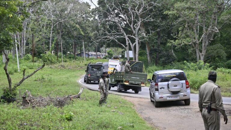 Tiger that killed two people in O’Valley in Gudalur captured after 29 days of manhunt