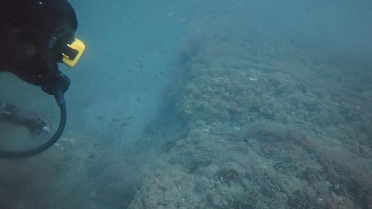 Torpedo vessel fragment, ring wells found during underwater archaeological survey off Poompuhar coast in Mayiladuthurai district
