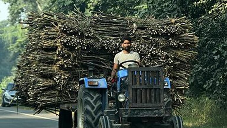 Uttar Pradesh is driving sugarcane transformation through digital reforms and modern governance