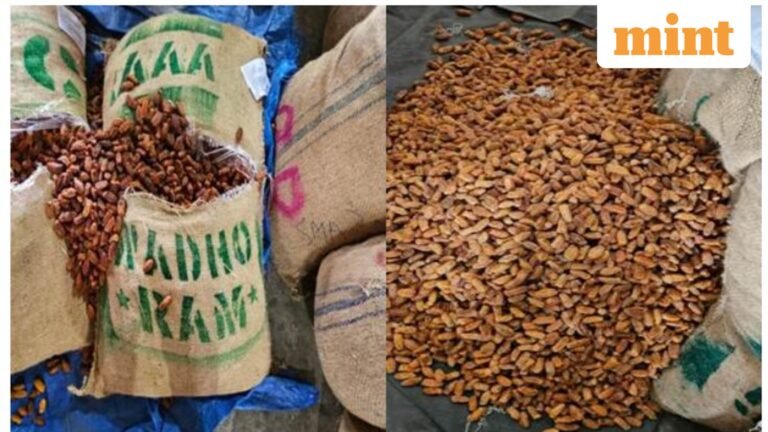 Operation Deep Manifest: DRI seizes 362 MT of dry dates originating in Pakistan in Nashik routed via UAE | Today’s news