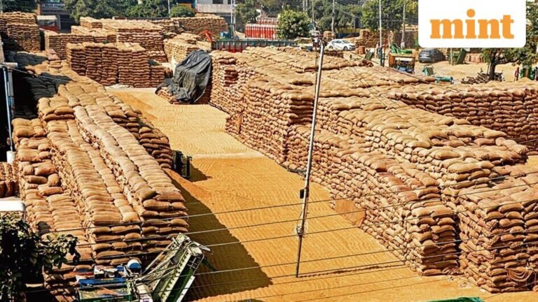 India sets food grain target below last year’s record performance | Today’s news