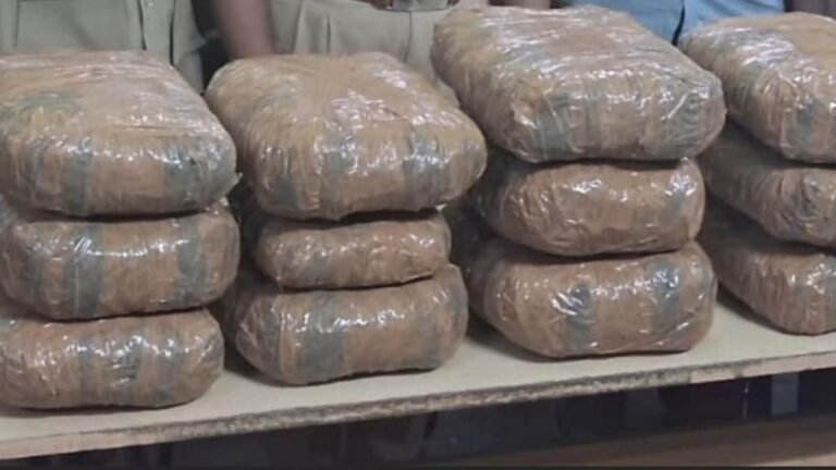 GRP seizes 25 kg of ganja at Jolarpet railway station