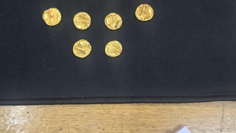 14 ancient gold coins found by workers digging a trench in Karnataka