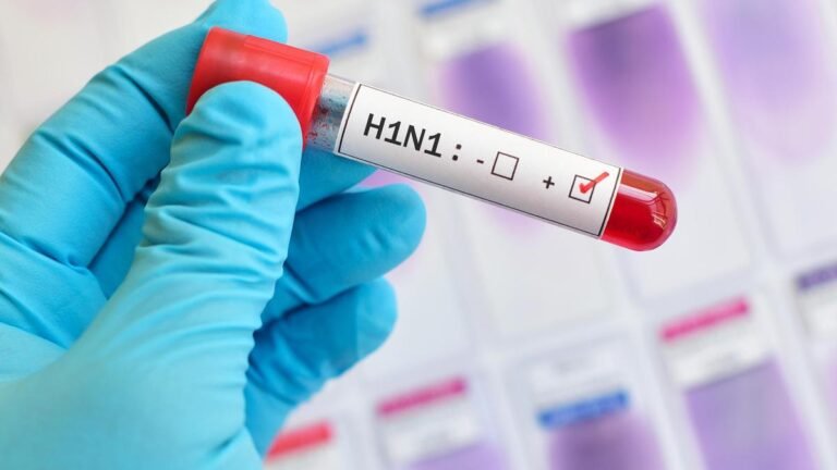 Palakkad DMO warns of spread of H1N1