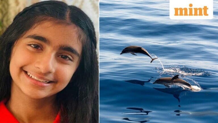 Meet Ishanvi Sakharpe: The Virginia 6th Grader Who Used Science to Save Dolphins | Today’s news