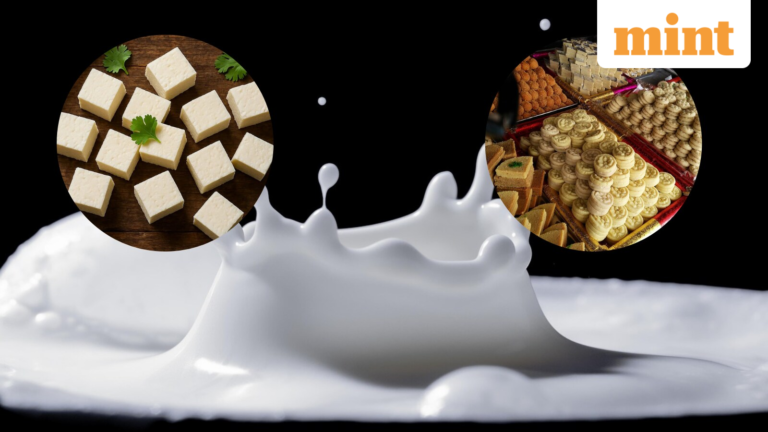 Milk price hike: Households in Mumbai, Tamil Nadu to face higher bills as prices rise ahead of holidays | Today’s news