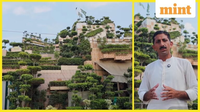 “They told me I was crazy”: an investment of 40 million! Meet Asghar Ali from Pakistan – he turned his home into a mini forest for his mother | Today’s news