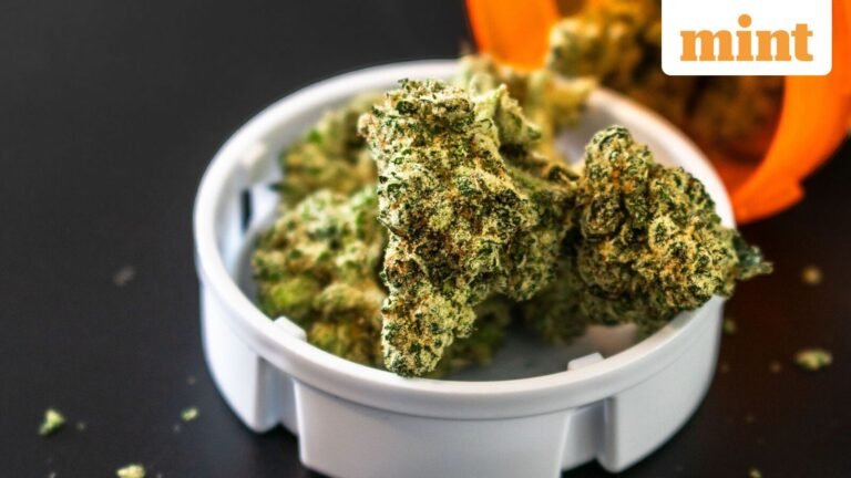 US Names India, China, Pakistan Among Major Drug Transit and Illicit Drug Producing Countries | Today’s news
