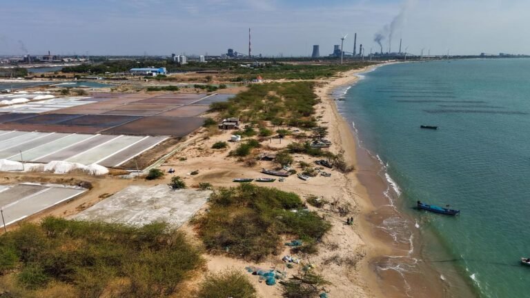 Greenfield Shipyard in Thoothukudi: Southern port to develop