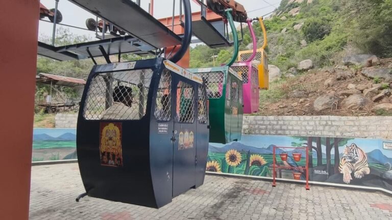 Devotees welcome the resumption of cable car services at the Sri Lakshminarasimhar Temple in Sholinghur