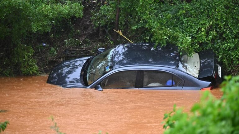 Three killed, four injured in rain-related incidents in Krishna, NTR districts