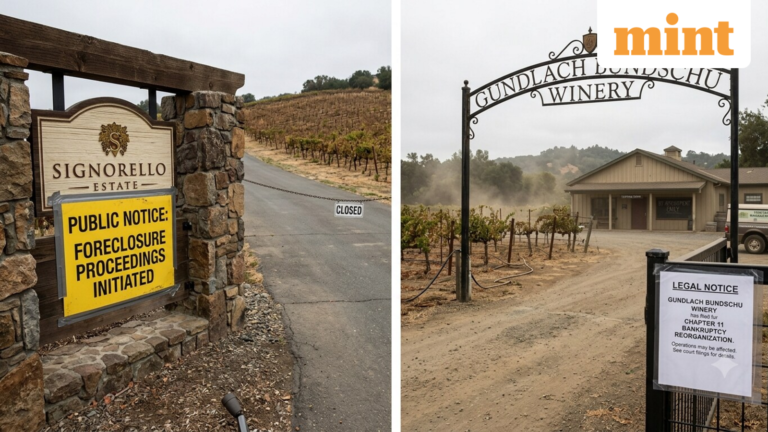 California wine industry crisis: Signorello faces foreclosure, Gundlach Bundschu files for bankruptcy | Today’s news