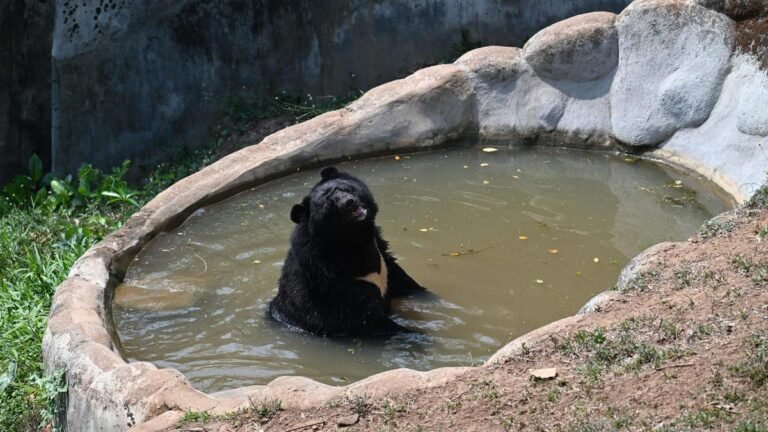 Debate rages over plan to relocate Thiruvananthapuram Zoo in Kerala