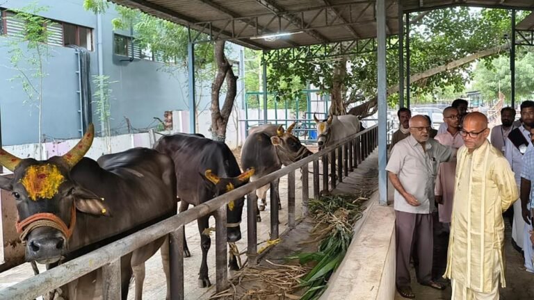 Official TTD donates five tribal cows to Gosamrakshanasala