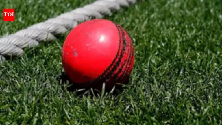 A red to pink ball? MCC official clarifies how ICC’s new trial version will work