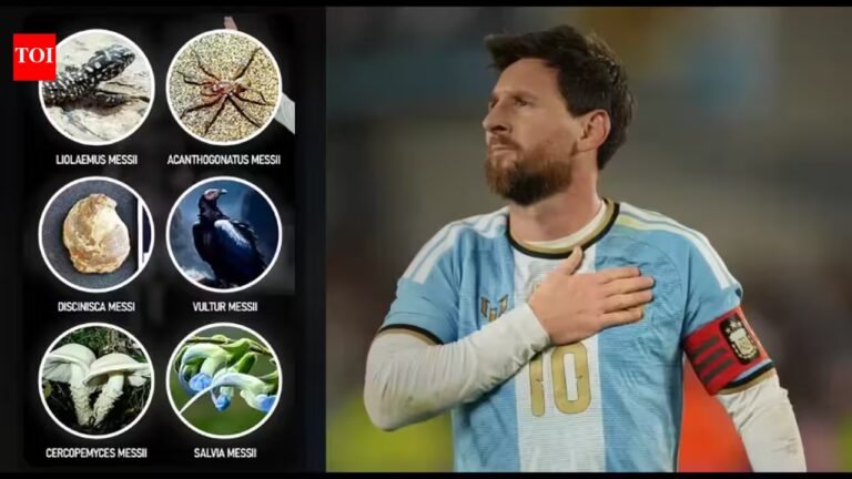 Lionel Messi broke his own Guinness World Record with six species named in his honour: all insects, animals, fossils, fungi and plants