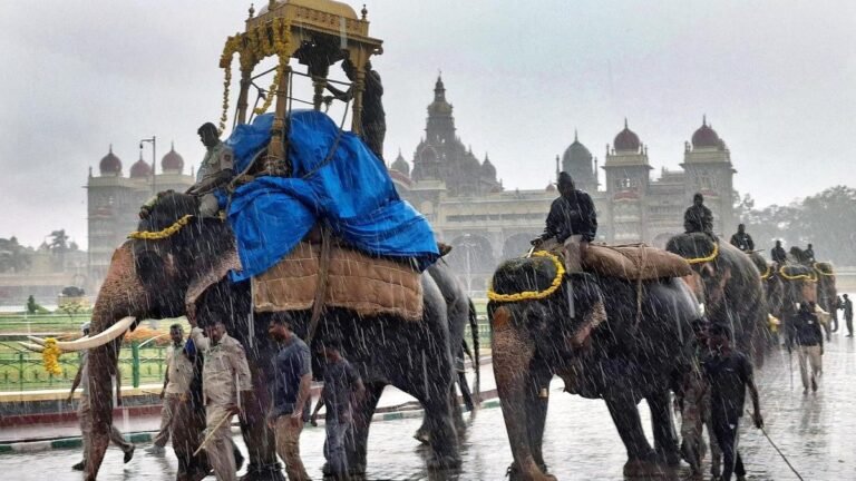 Tusker Mahendra falls out of the Howdah Golden Race