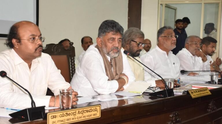 Chief Minister orders officials to make Mysuru flex-free during Dasara