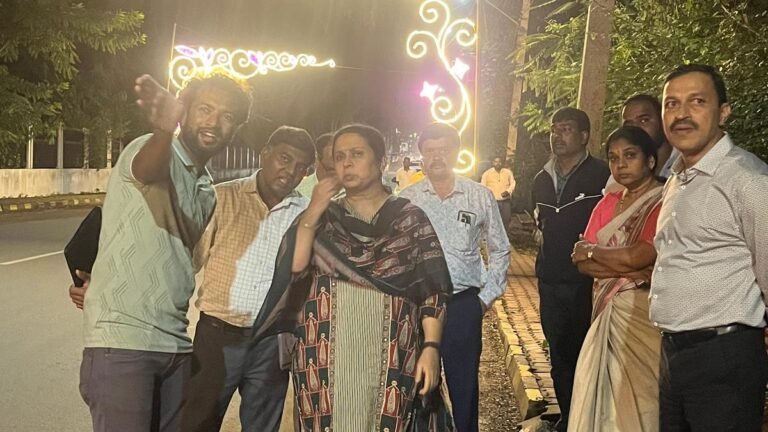 CESC tightens security measures for Dasara lighting
