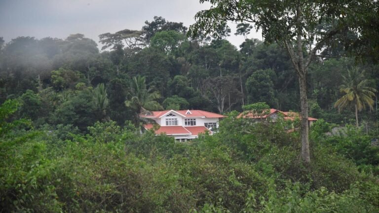 Dasara rush: 50% private accommodation and hotels in Kodagu, Chikkamagalur booked