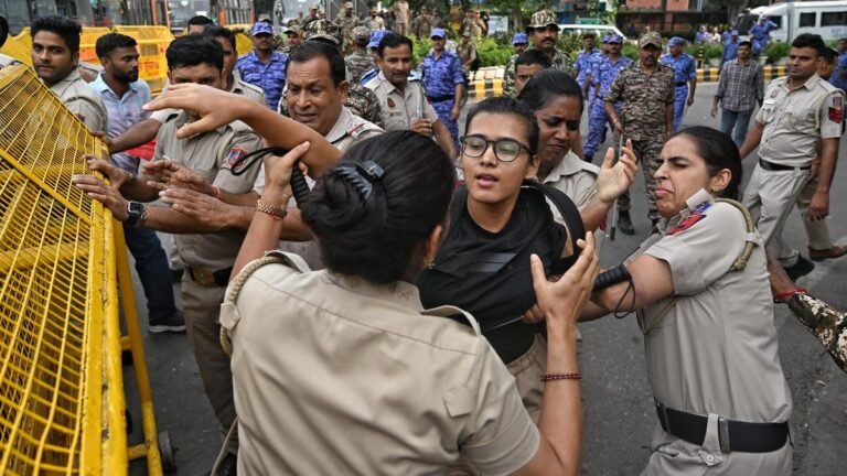 Delhi Protests Against CEC: What the Pretrial Detention Act Says | Explained