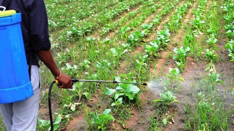 The agriculture department seized pesticides worth ₹3.12 crore in Bengaluru
