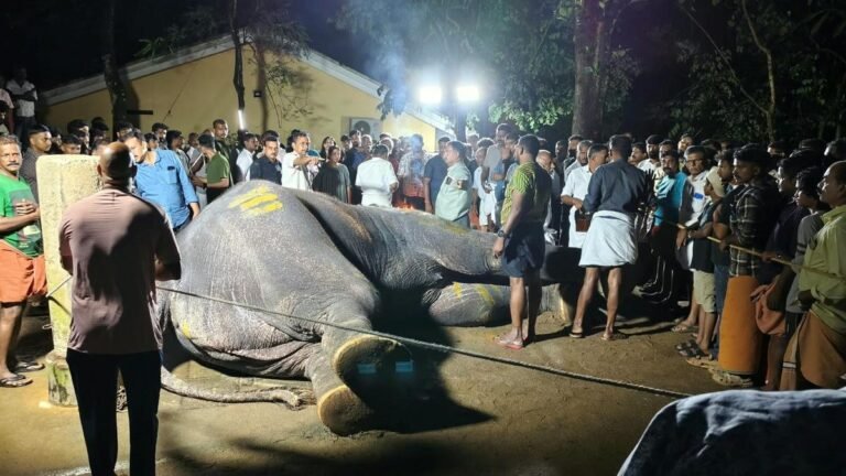 Tusker Pallatt Brahmadathan died after being struck by lightning near Erattupetta in Keralam’s Kottayam