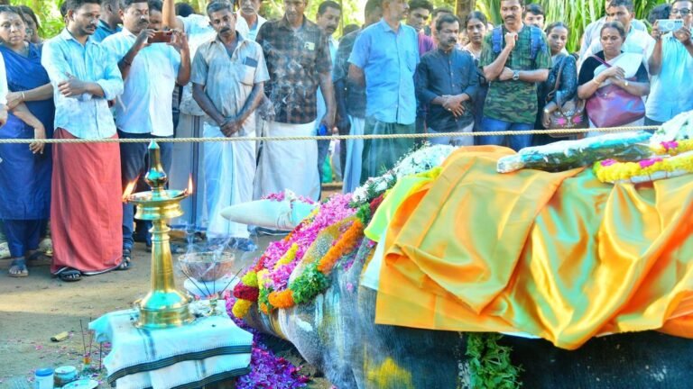 The elephant Pallattu Brahmadathan, who died in a lightning strike, was cremated in Keralam