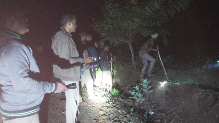 The forest department is stepping up efforts to track animals involved in the killing of daily wage workers in Hasanur