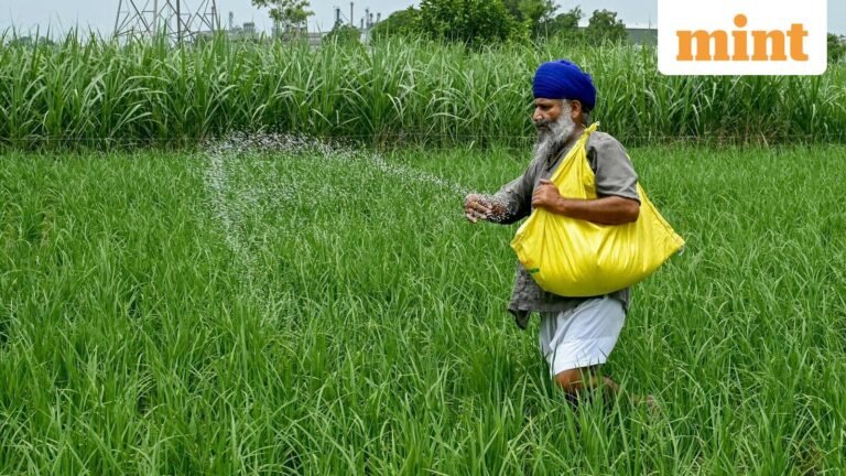 India to meet 90% of its domestic urea demand by 2030 to improve food security | Today’s news