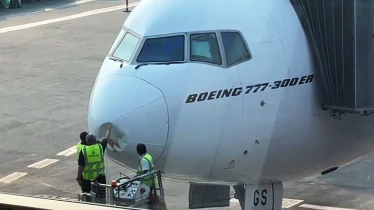 Dubai-bound Emirates flight delayed at Delhi airport after bird strike | Watch the video | Today’s news