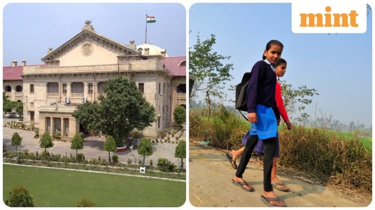 Allahabad HC tells all UP government school teachers to get their appointment letter and education documents verified. Here’s why | Today’s news