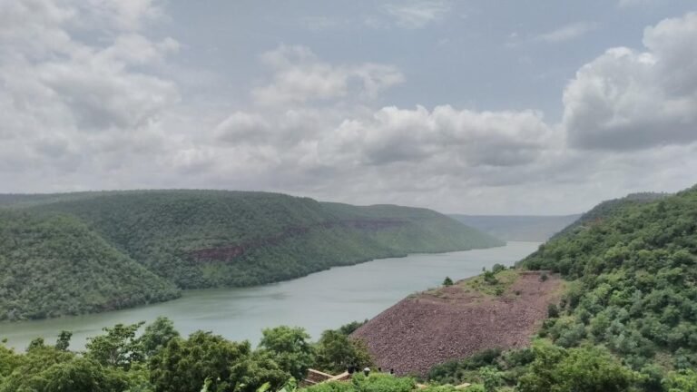 India’s river connectivity can transport invasive species to multiple areas