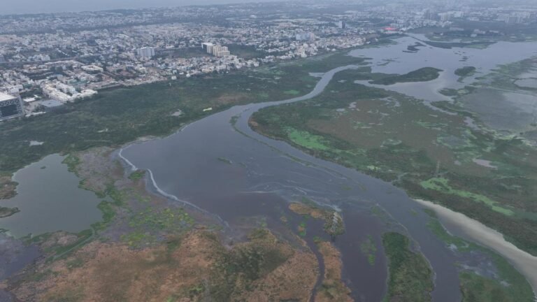 The Madras High Court adjourned the Pallikaranai Temporary Zone of Influence case to November 11