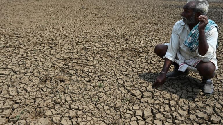 IAT recommends pension or life insurance for farmers to protect themselves against emergencies