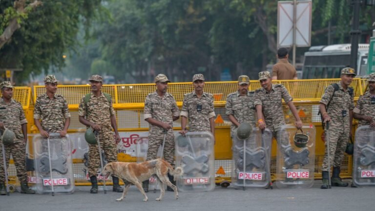 ‘What’s next? Labeling democracy?’ — CJP strikes at center after Jantar Mantar was stripped of protest site status | Today’s news