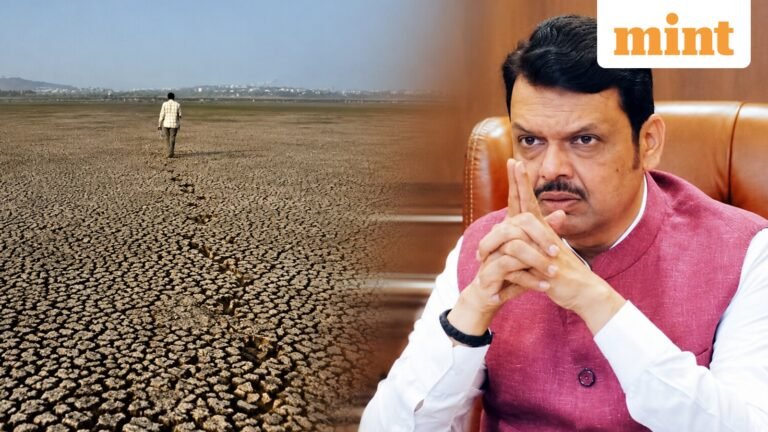 Maharashtra drought: CM Fadnavis announces ₹7,500 crore relief package; how much does each farmer get? | Today’s news