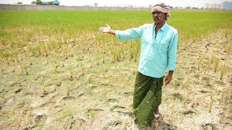 Andhra has received rain on only 46 of the 122 monsoon days this season, against the normal of 75 to 90