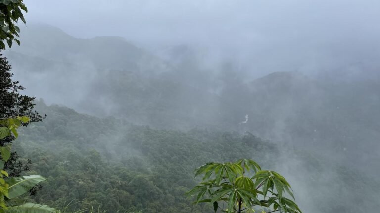 Mapping of the two districts of the Western Ghats shows many of the proposed ESAs overlap with notified forests, protected areas or existing ESZs