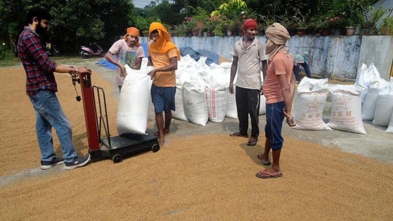 Supplyco granted permission to renew agreements with rice mills, says Kerala minister