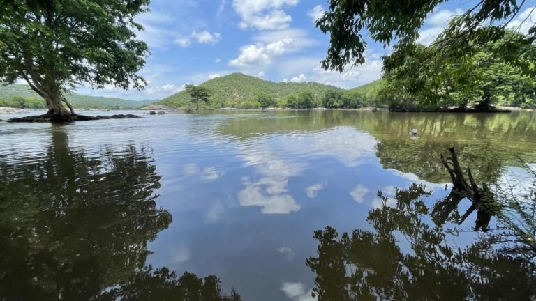 The Cauvery Water Authority confirmed the Cauvery Water Management Board’s instruction to Karnataka to release 3,000 cusecs per day to Tamil Nadu for 15 days