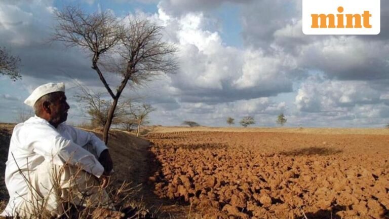 Week in Charts: Lower Food Target, Lack of Rains, Cheaper Stocks | Today’s news