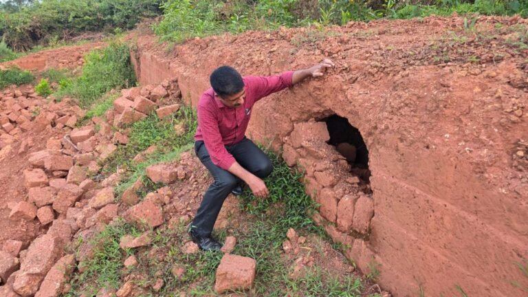 Megalithic burial chamber, possibly rock art discovered in Kasaragod Madikkai panchayat